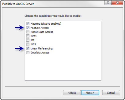 Enabling map services