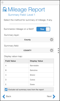 Exclude null summary rows from the report