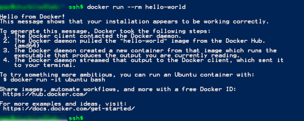 Example output of the docker console check